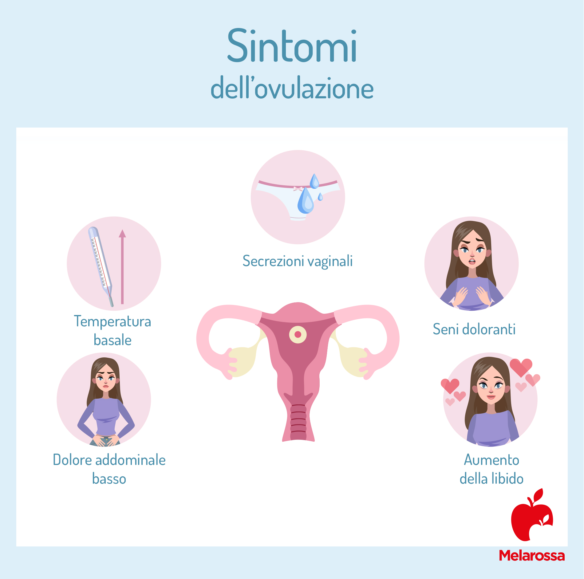 Ovulazione: che cos'è, come funziona, sintomi, giorni per cercare una gravidanza, fasi 3 sintomi dell'ovulazione