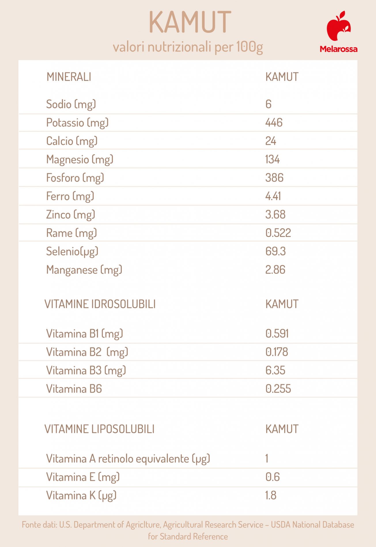 Kamut: che cos'è, proprietà, benefici, come cuocere i chicchi, ricette e usi in cucina del grano Khorasan 2 valori nutrizionali del kamut