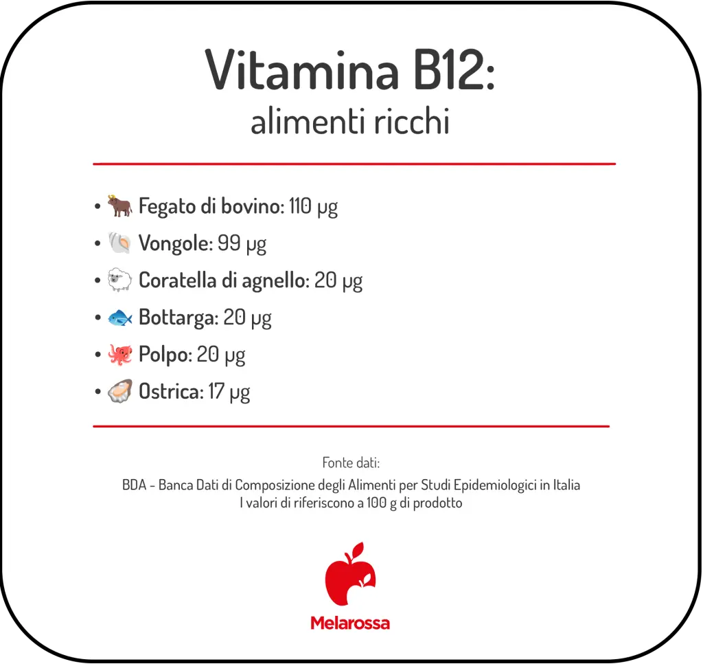 Vitamina B12: cos'è, benefici e dove si trova 1 Infografica degli alimenti ricchi di vitamina B12 come fegato di bovino, vongole, coratella di agnello, bottarga, polpo e ostriche con valori nutrizionali.