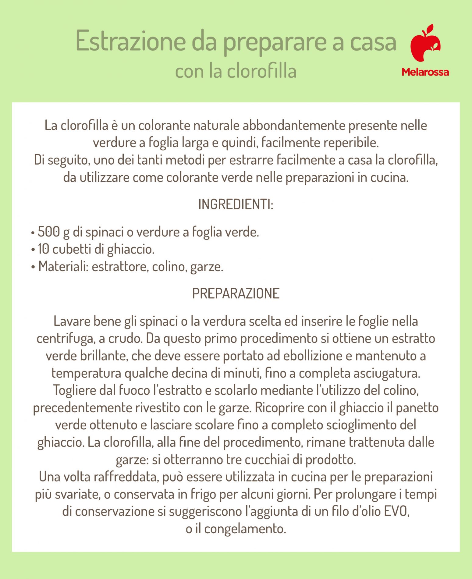 Clorofilla: cos’è, a cosa serve, proprietà, benefici e fonti alimentari 8 clorofilla liquida: estrazione da fare in casa