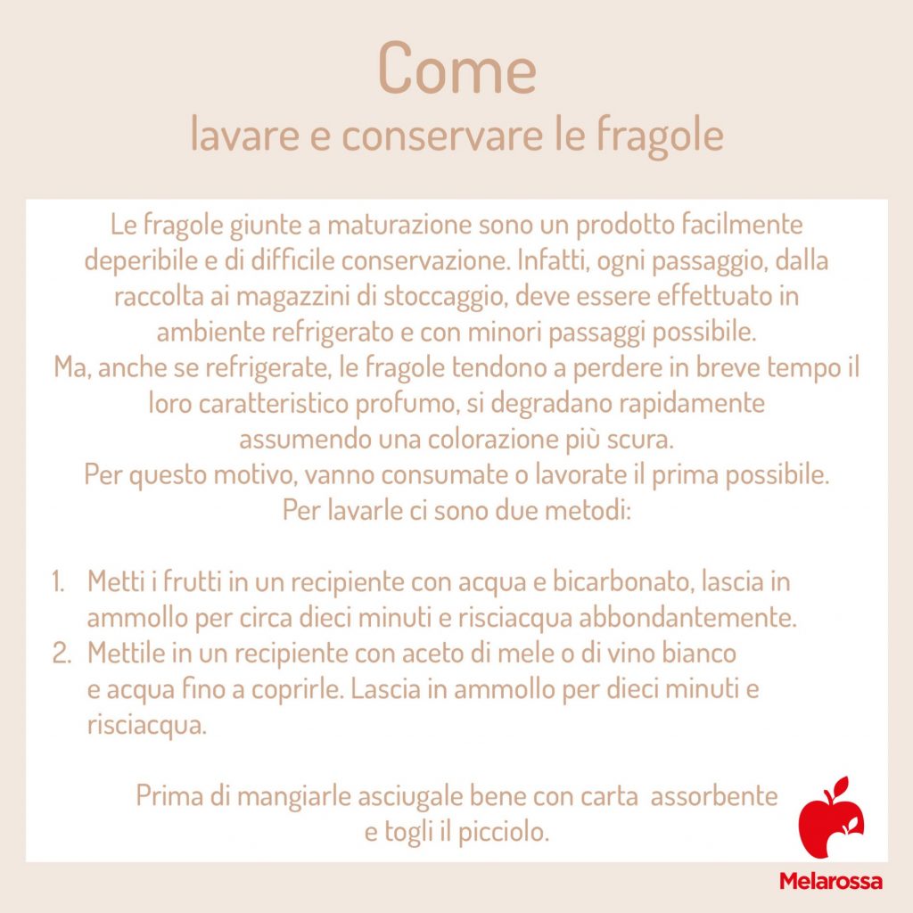 Fragole: cosa sono, calorie e valori nutrizionali benefici e le migliori ricette 10 come lavare e conservare le fragole