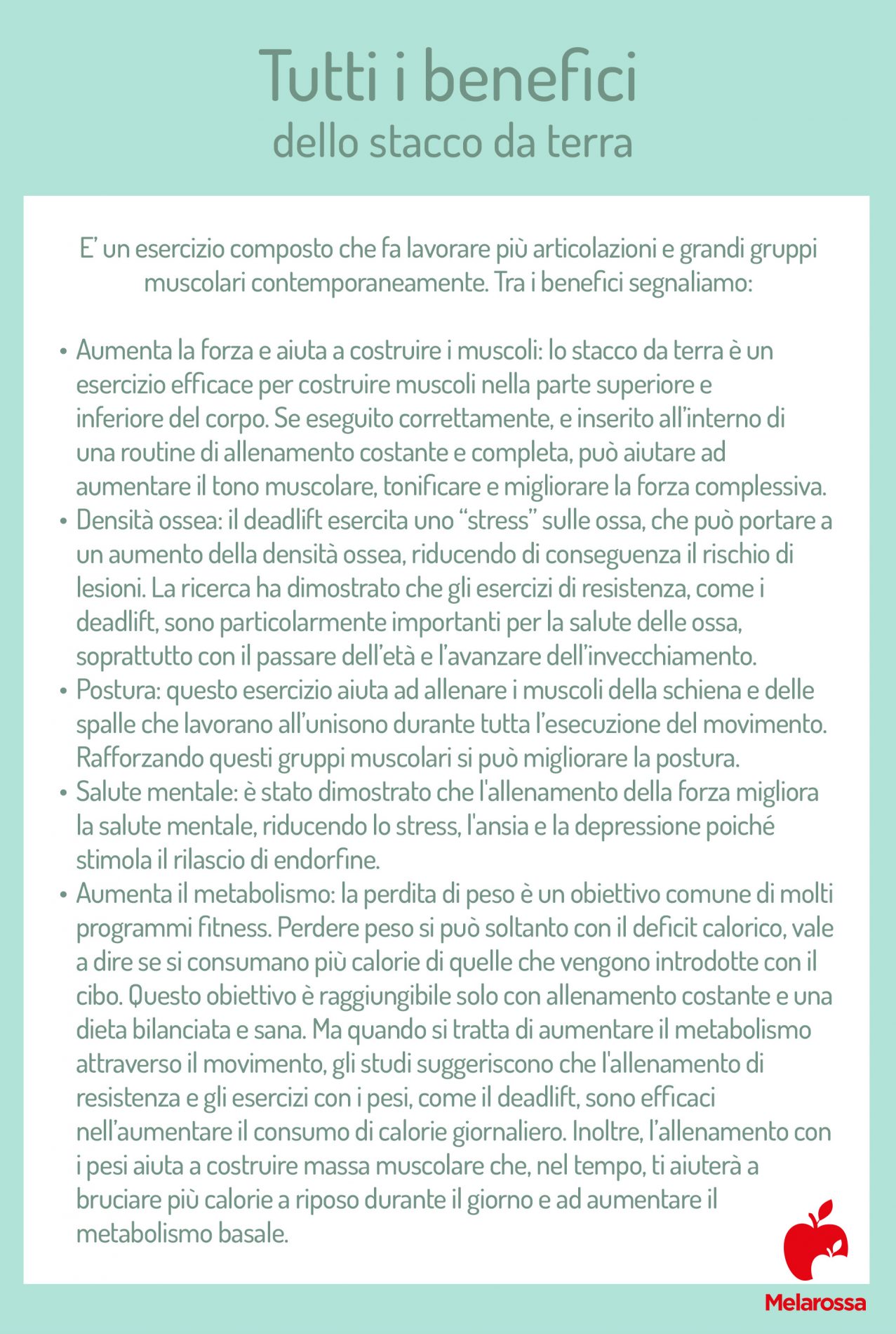 Deadlift o stacco da terra: che cos'è, come si esegue, muscoli coinvolti, benefici, controindicazioni 2 deadlift o stacco da terra: tutti benefici