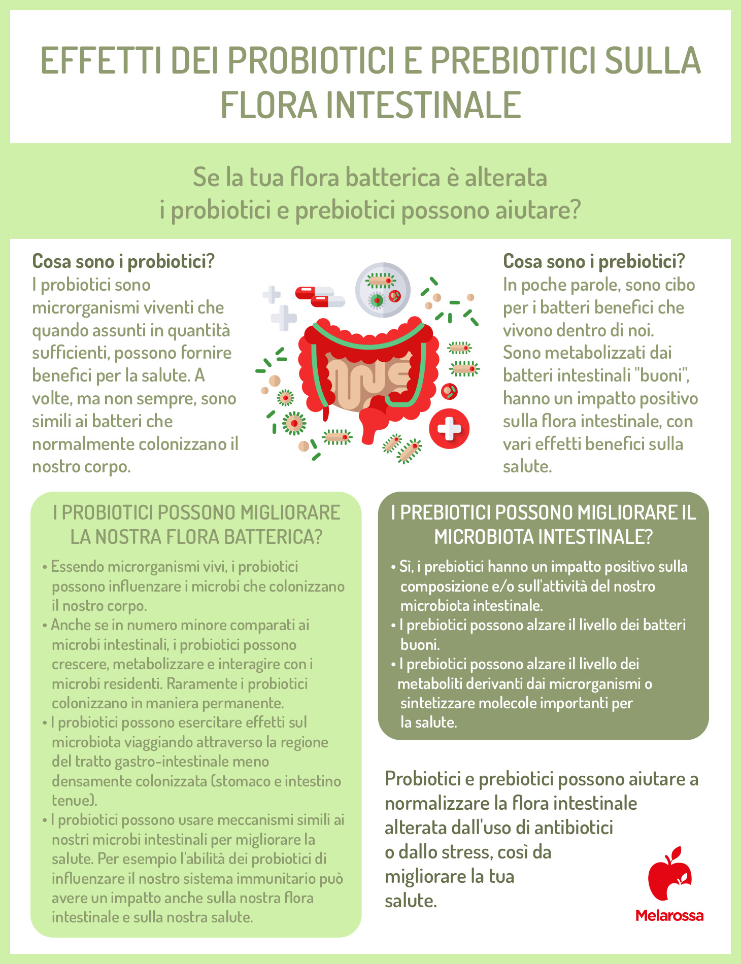 Probiotici: cosa sono, a cosa servono, proprietà e alimenti ricchi, i migliori integratori 1 differenze tra probiotici e prebiotici
