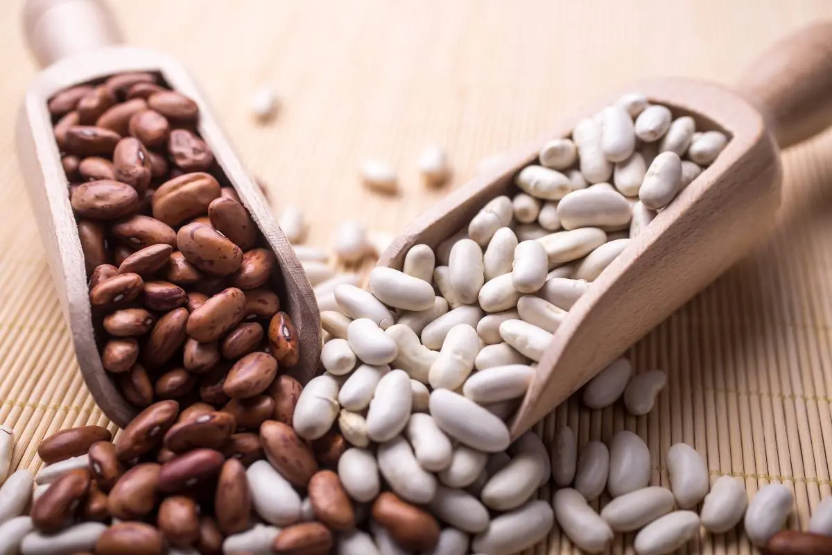 Fagioli: cosa sono, varietà, proprietà, benefici e ricette 10 fagioli benefici per la salute