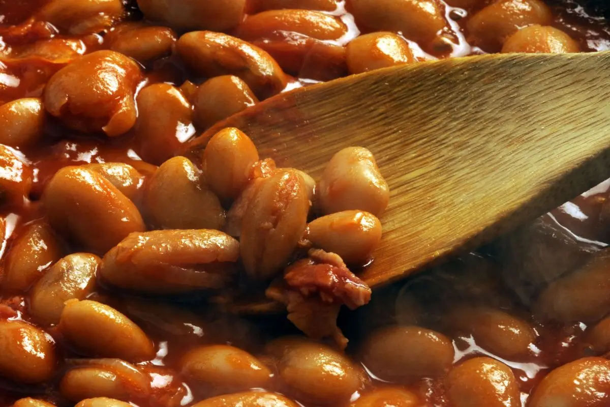 Fagioli: cosa sono, varietà, proprietà, benefici e ricette 4 fagioli all'uccelletto