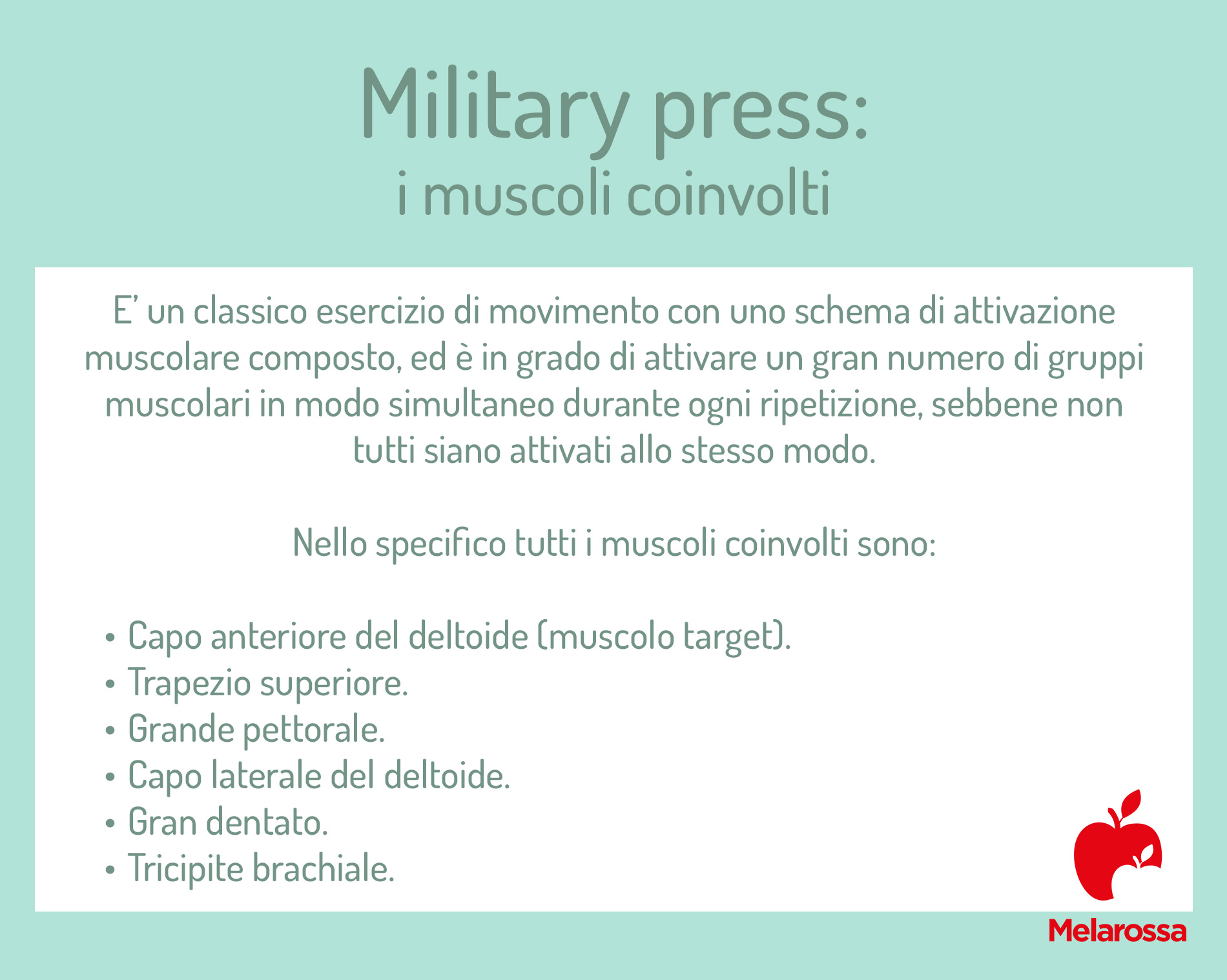 Military press: che cos'è, come fare l'esercizio corretto, tutti i benefici, controindicazioni 1 military press muscoli coinvolti