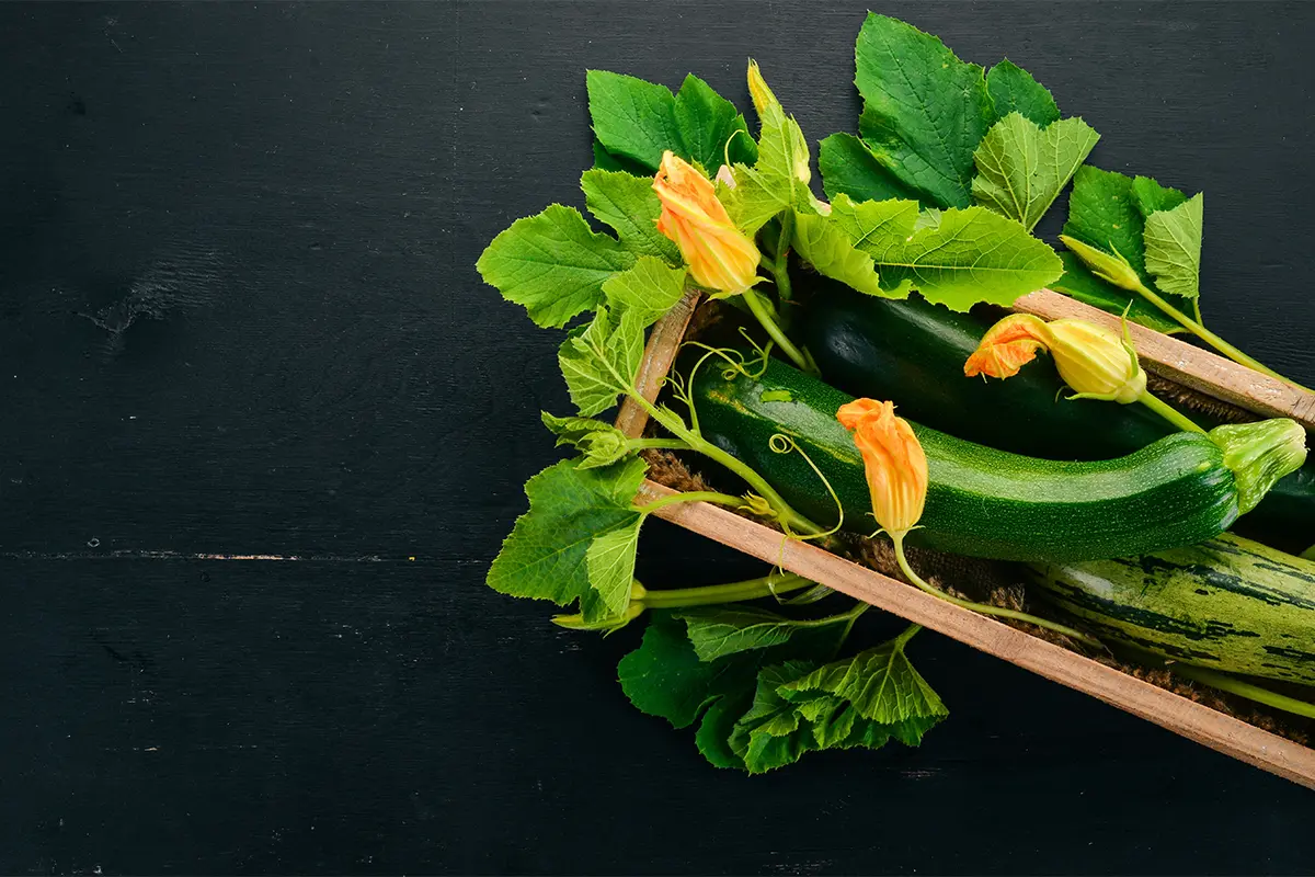 Zucchina: proprietà, benefici, valori nutrizionali e le migliori ricette 3 zucchine: proprietà