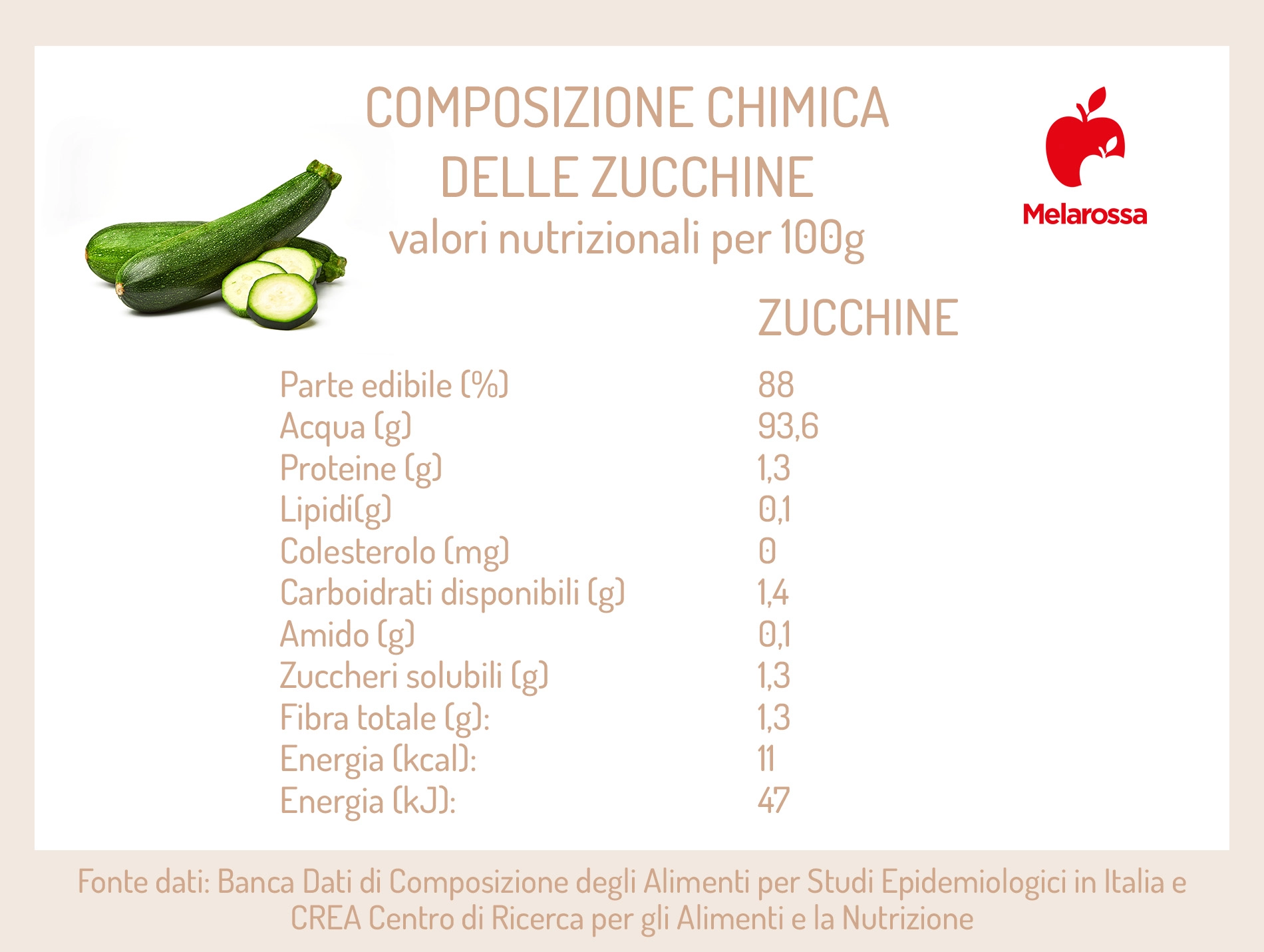 Zucchina: proprietà, benefici, valori nutrizionali e le migliori ricette 2 zucchine: composizione