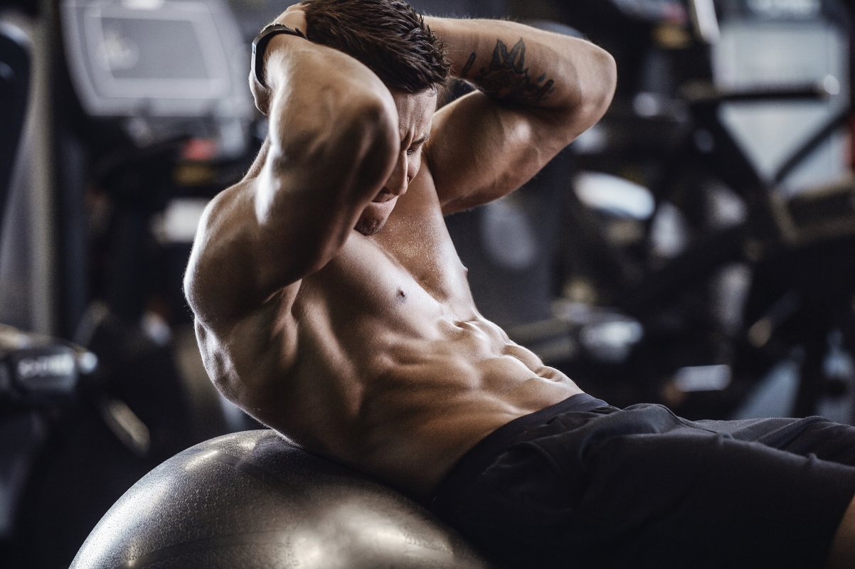 Anatomia addome: scopri tutti muscoli addominali, la loro funzione e come allenarli 5 anatomia addome: muscoli