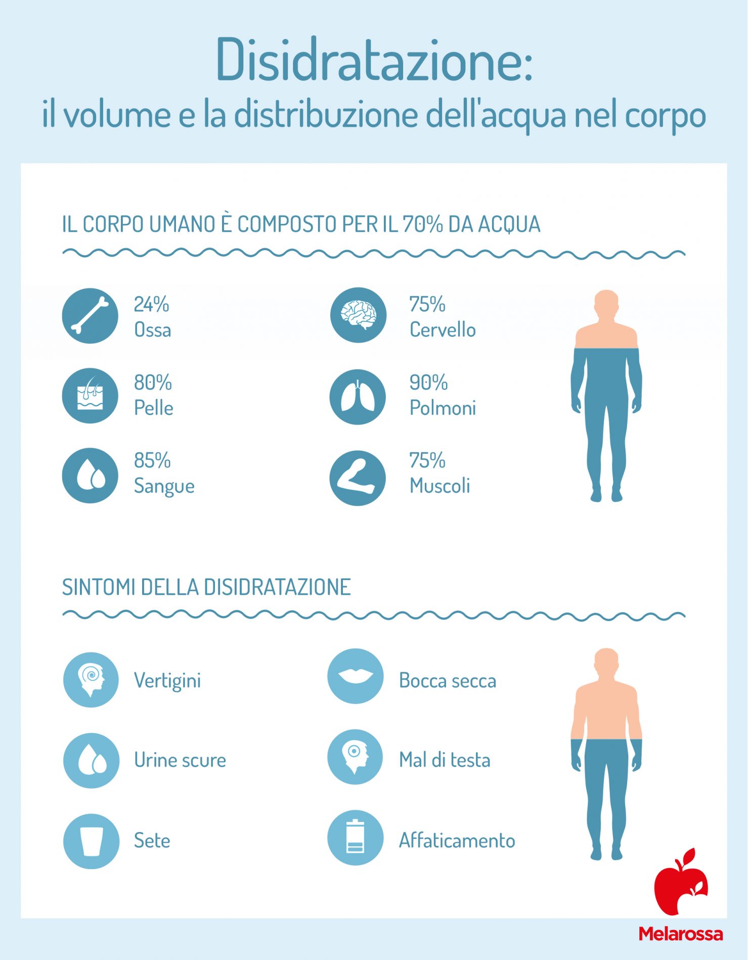 Disidratazione: sintomi, cause e prevenzione 1 disidratazione: volume e distribuzione dell'acqua nel corpo