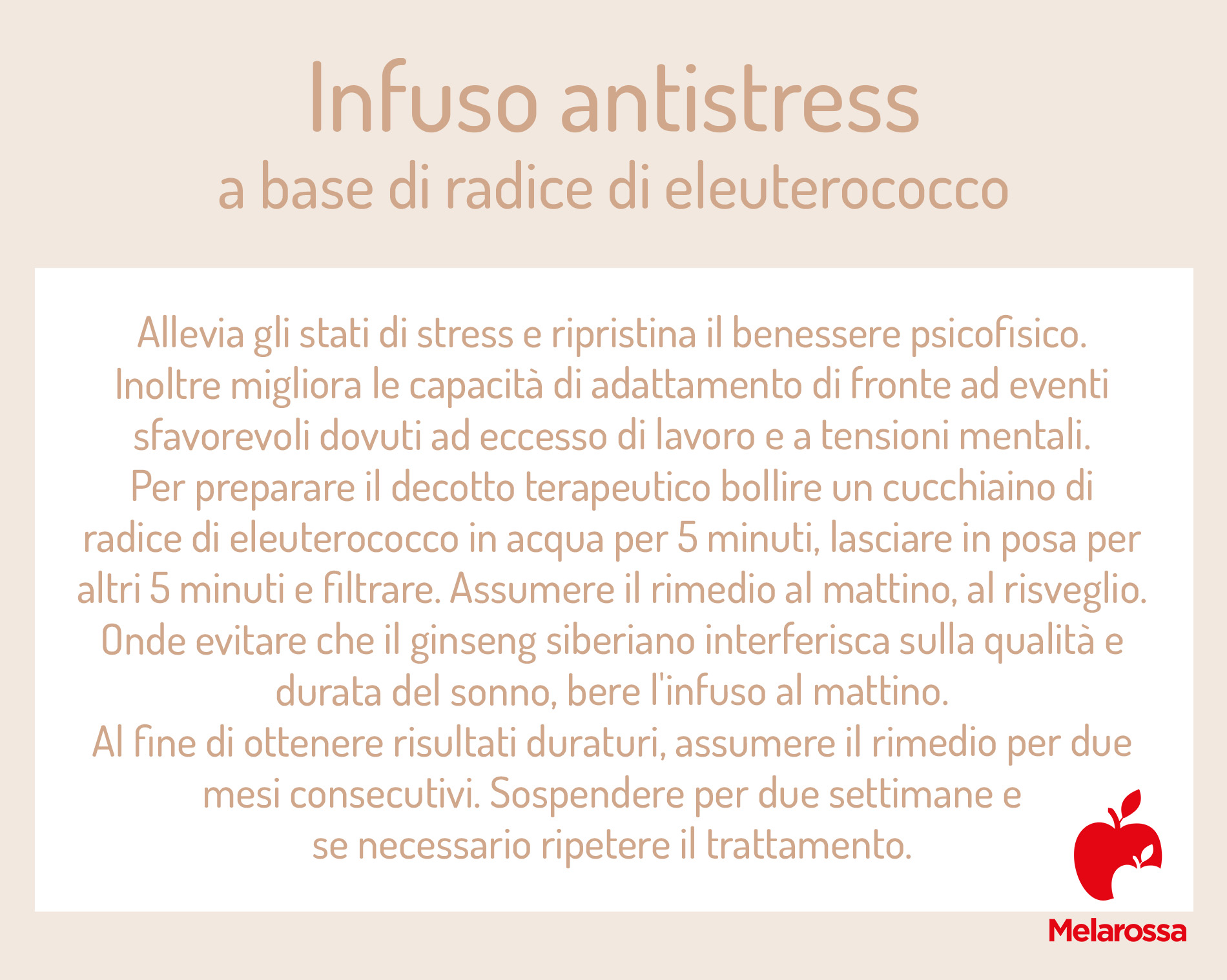 Eleuterococco: il ginseng siberiano tra proprietà, benefici, a cosa serve e controindicazioni 3 eleuterococco infuso antistress 1