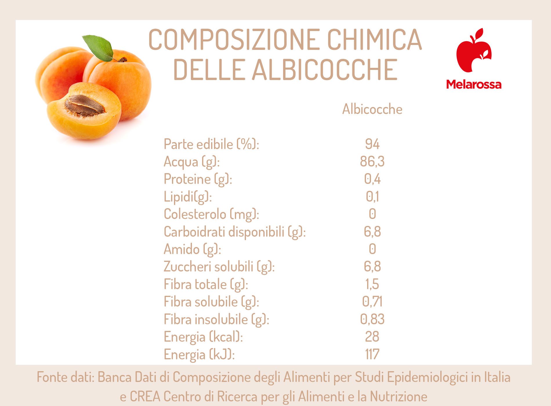 Albicocca: valori nutrizionali, calorie, benefici e le migliori ricette 2 image 2