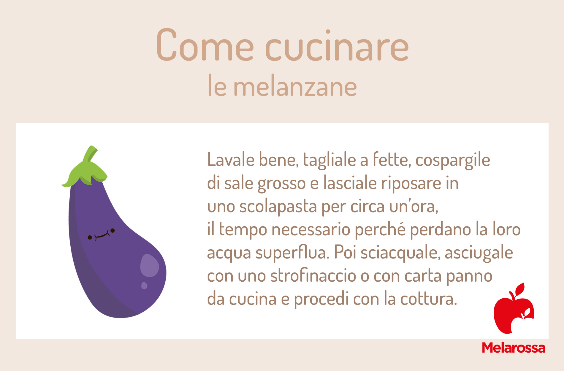Melanzana: proprietà, calorie e come cucinarla 2 melanzana come cucinare illustrazione 1