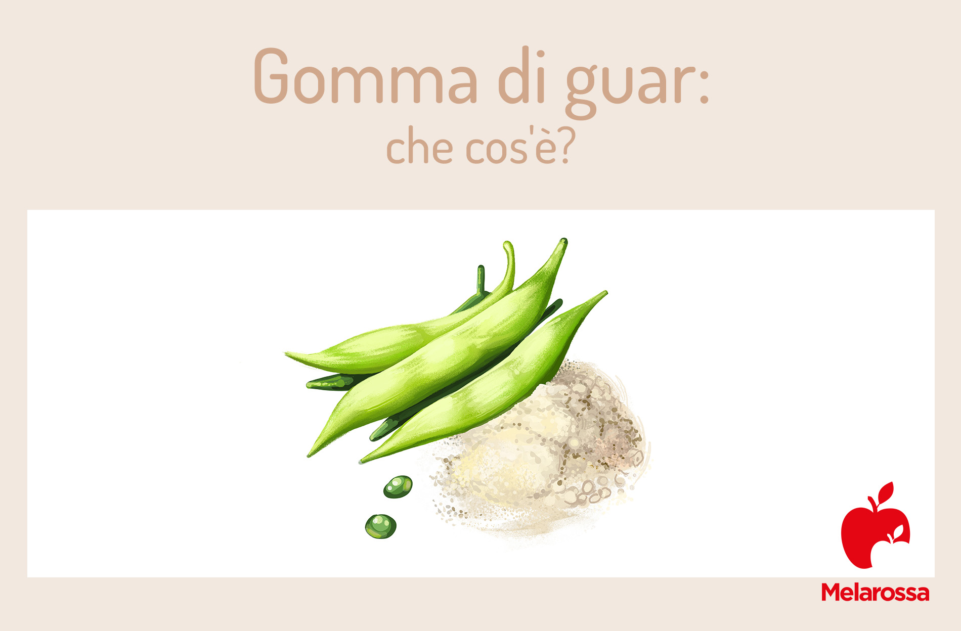 Gomma di Guar: che cos'è, a cosa serve, benefici, usi, i migliori integratori, controindicazioni 1 gomma di guar: che cos'è