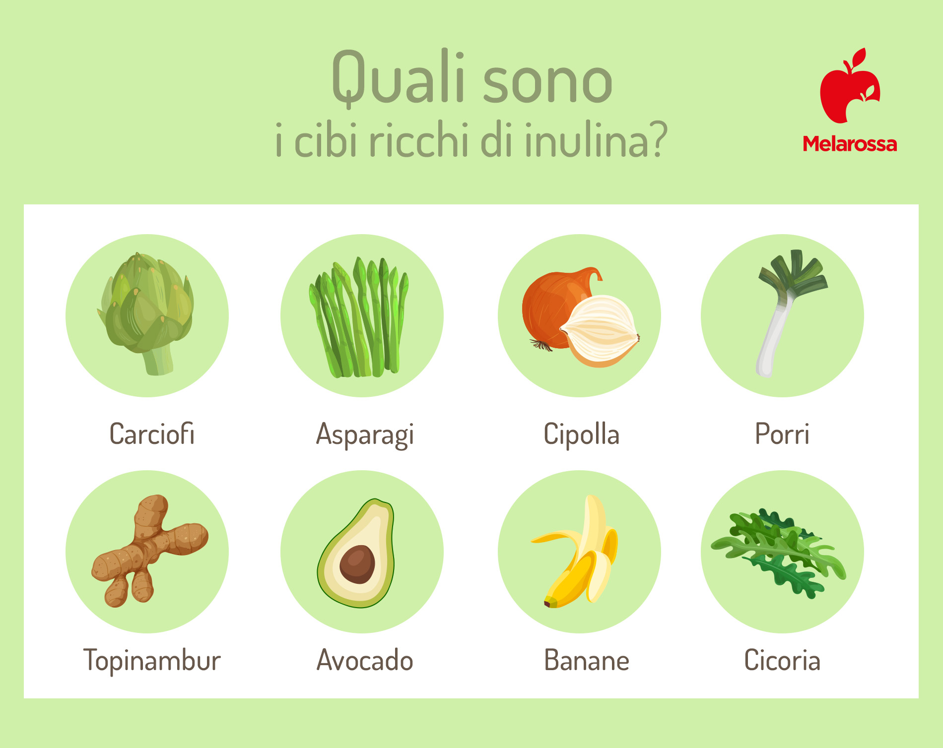 Inulina: che cos'è, cibi ricchi, proprietà e benefici del prebiotico naturale, controindicazioni 3 inulina: cibi ricchi