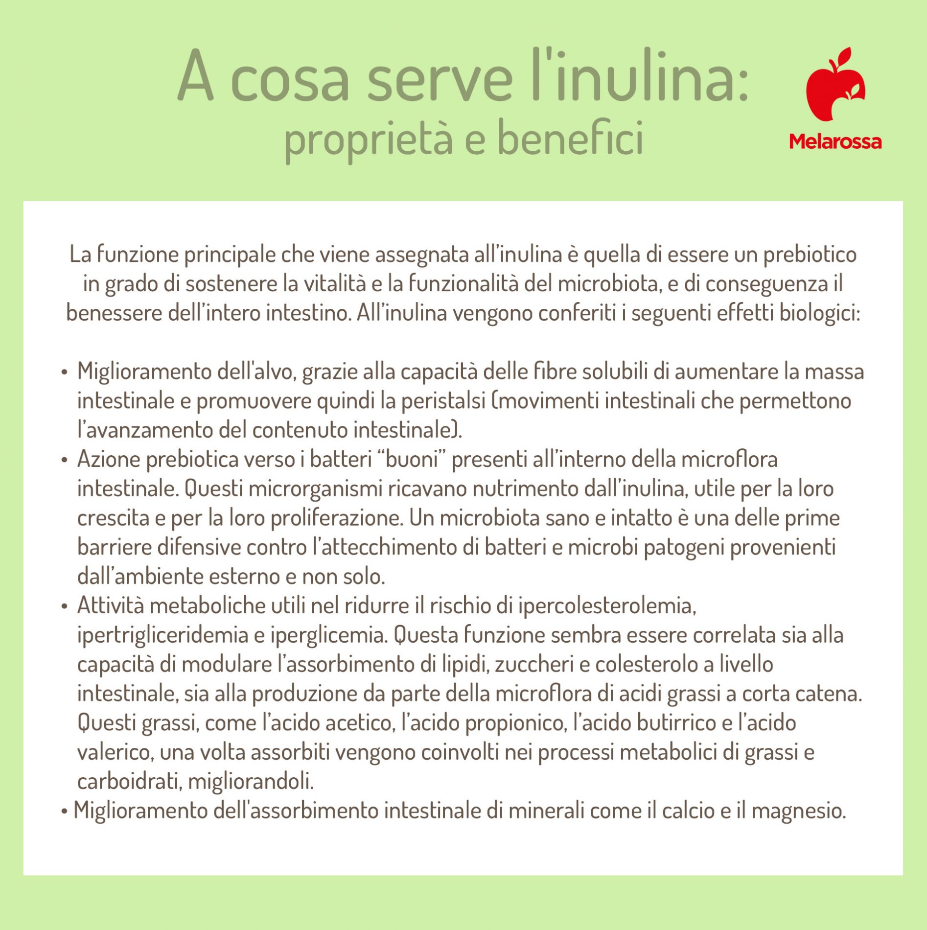 Inulina: che cos'è, cibi ricchi, proprietà e benefici del prebiotico naturale, controindicazioni 2 inulina proprieta e benefici 1