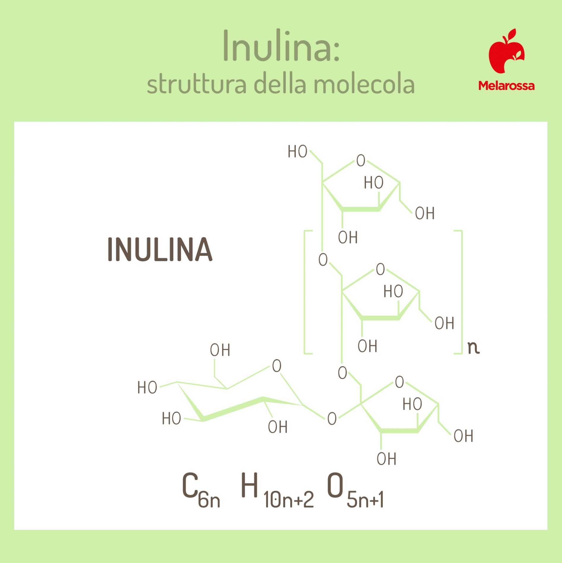 Inulina: che cos'è, cibi ricchi, proprietà e benefici del prebiotico naturale, controindicazioni 1 Inulina: che cos'è e a cosa serve