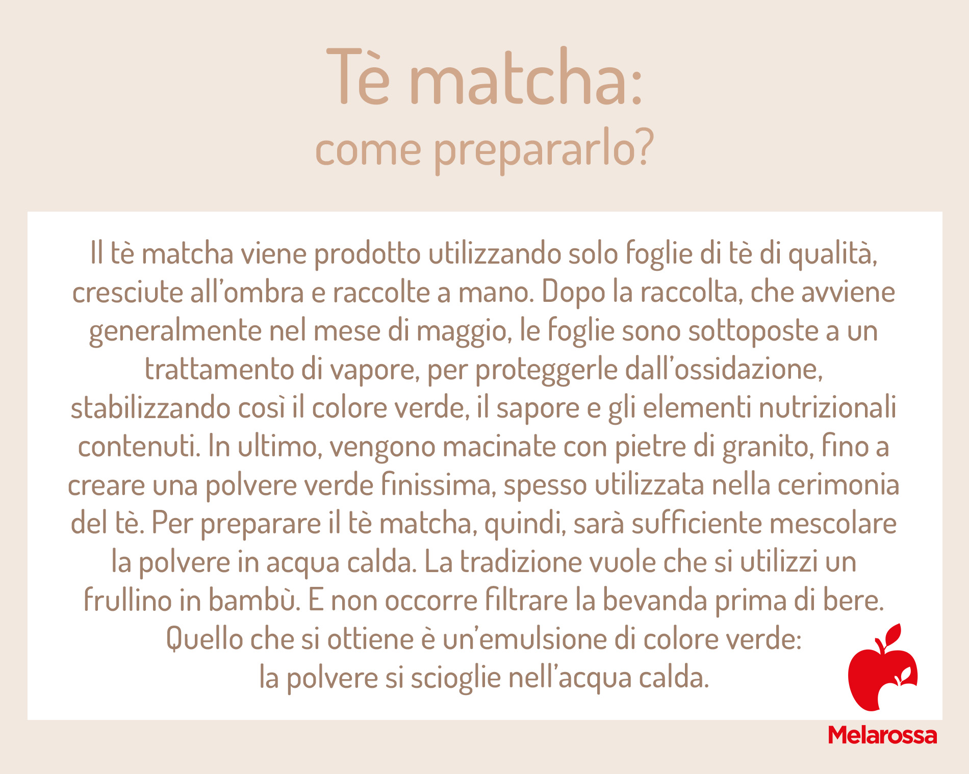 Tè matcha: cos'è, proprietà, benefici, ricette e come prepararlo a casa 5 tè matcha: come prepararlo
