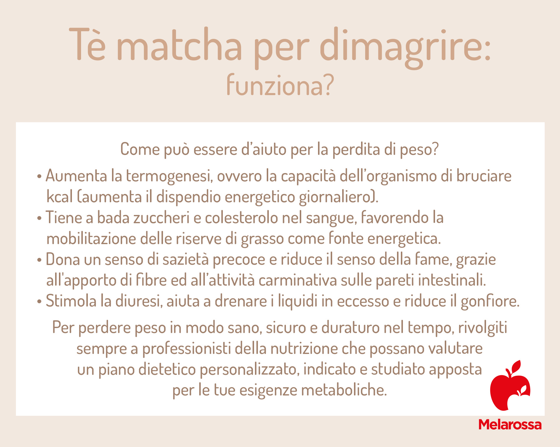 Tè matcha: cos'è, proprietà, benefici, ricette e come prepararlo a casa 4 tè matcha fa dimagrire?