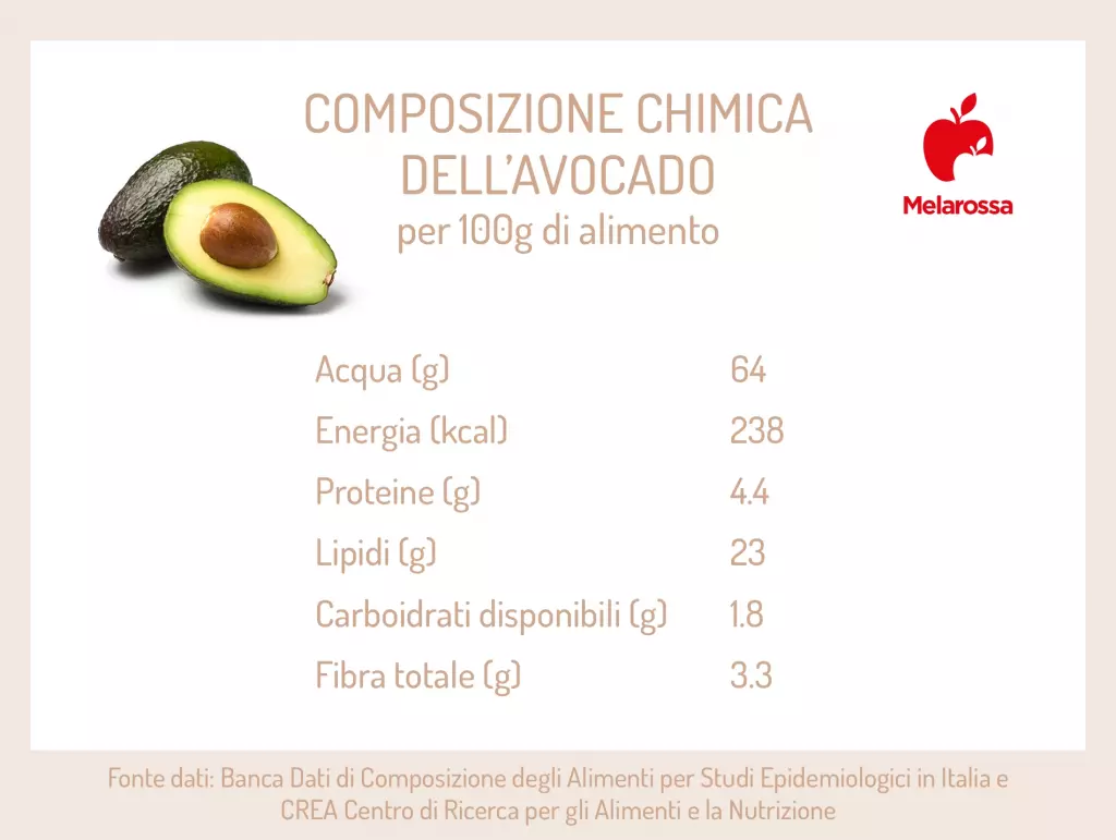 Avocado: proprietà, calorie e valori nutrizionali 2 grafica sui valori nutrizionali dell'avocado