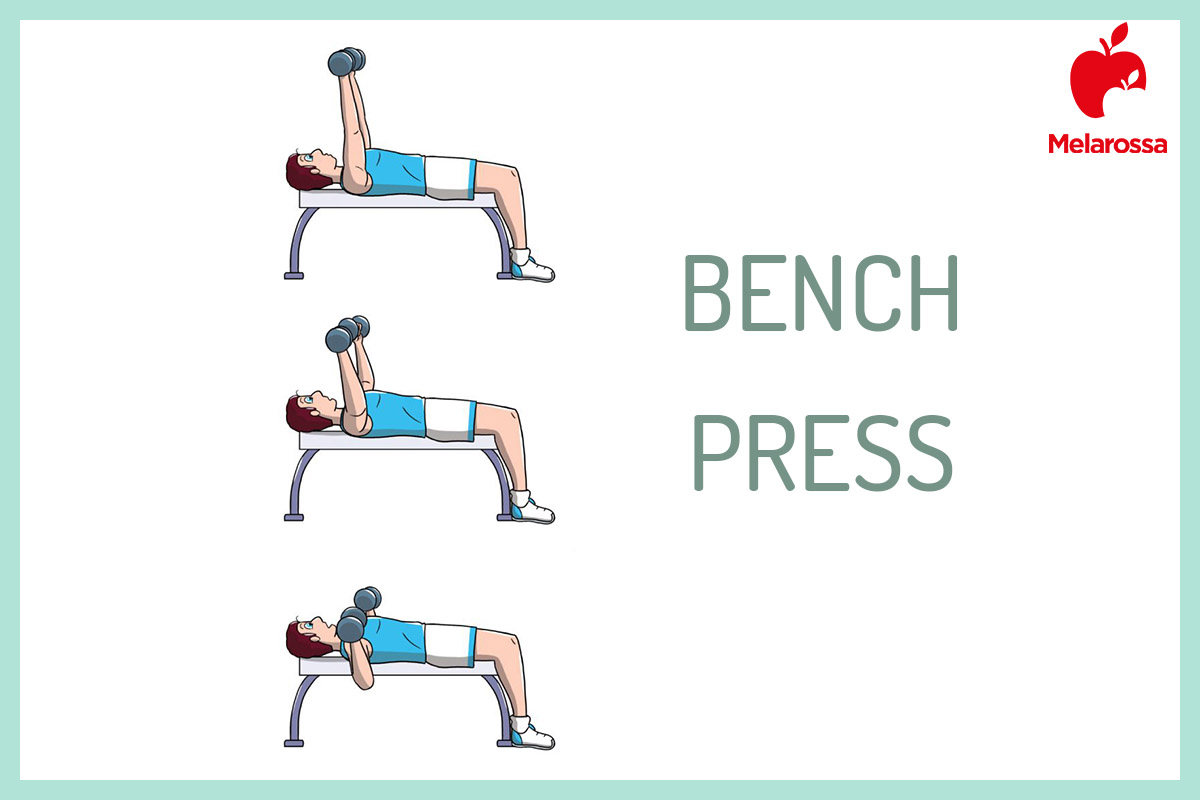 Powerlifting: cos'è, come si pratica e come iniziare in sicurezza, benefici e controindicazioni 5 powerlifting: bench press