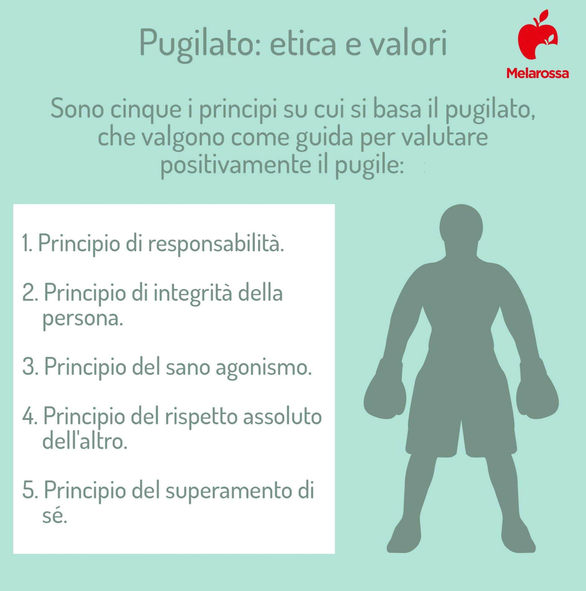 Pugilato o boxe: che cos’è, tecnica e regole, stili, benefici, controindicazioni, storia 1 pugilato etica valori