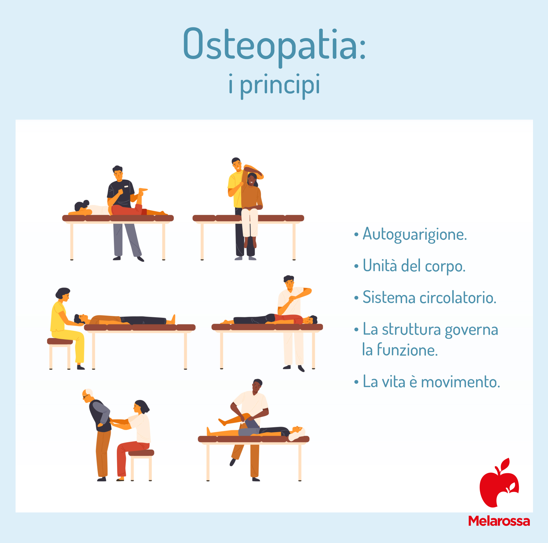 Osteopatia: che cos'è, cosa cura, principi, benefici, controindicazioni 2 principi dell'osteopatia