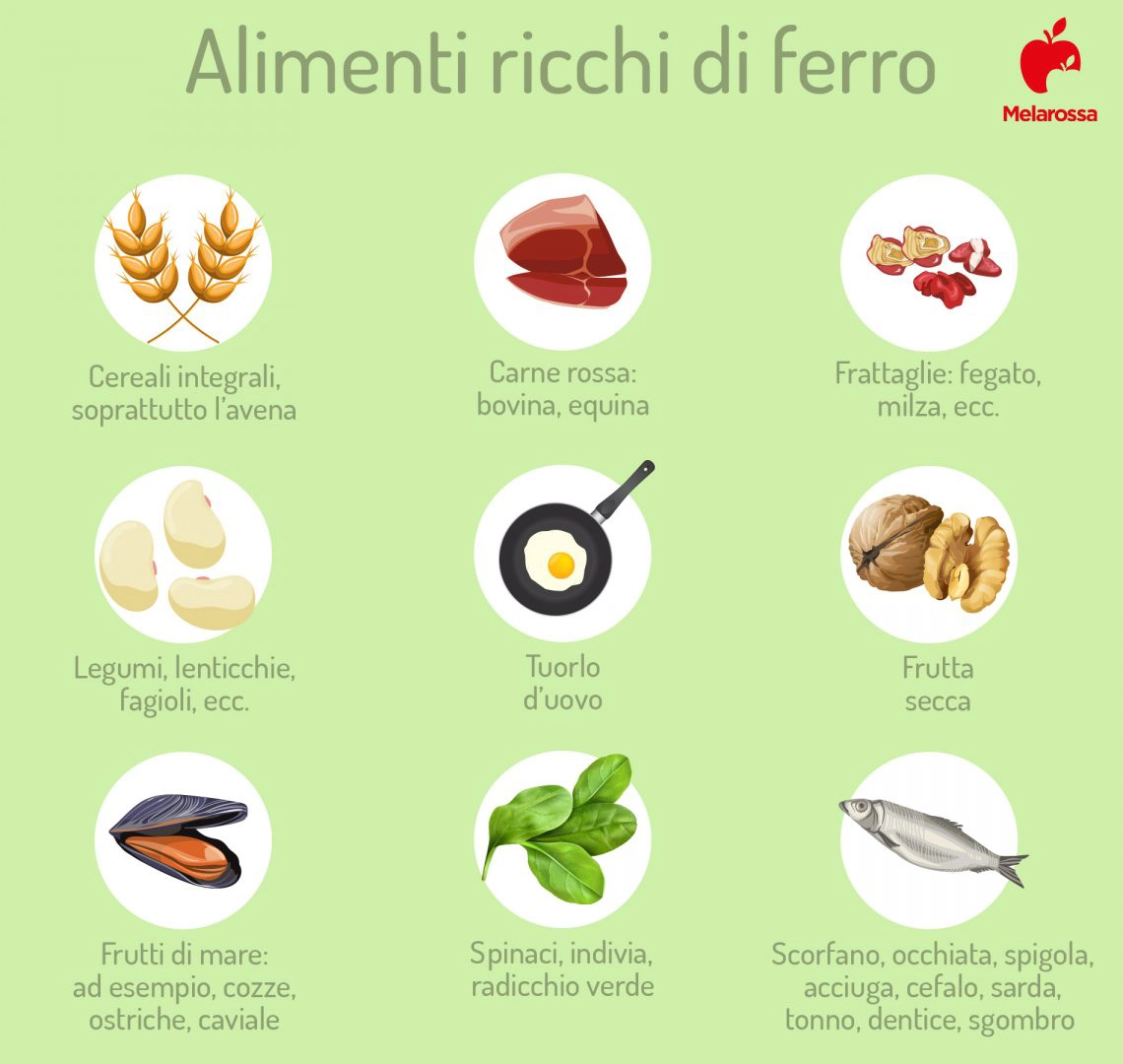 Ferro: cos’è, a cosa serve, fabbisogno giornaliero, proprietà e quando assumerlo 4 alimenti ricchi di ferro