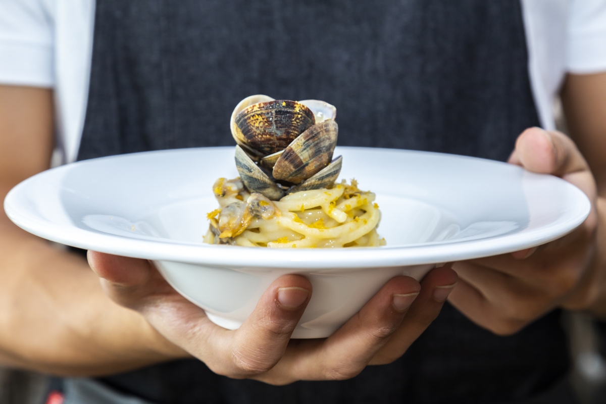 Vongole e vongole veraci: differenze, proprietà, come sceglierle, le migliori ricette 3 benefici delle vongole