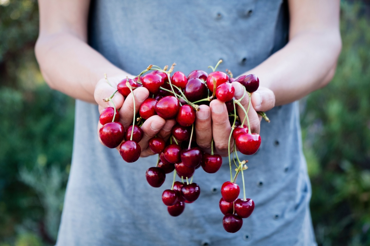 Frutti rossi: quali sono, benefici e idee per gustarli 2 ciliegie: frutti rossi