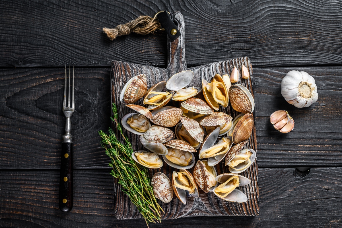 Vongole e vongole veraci: differenze, proprietà, come sceglierle, le migliori ricette 4 come pulire le cozze