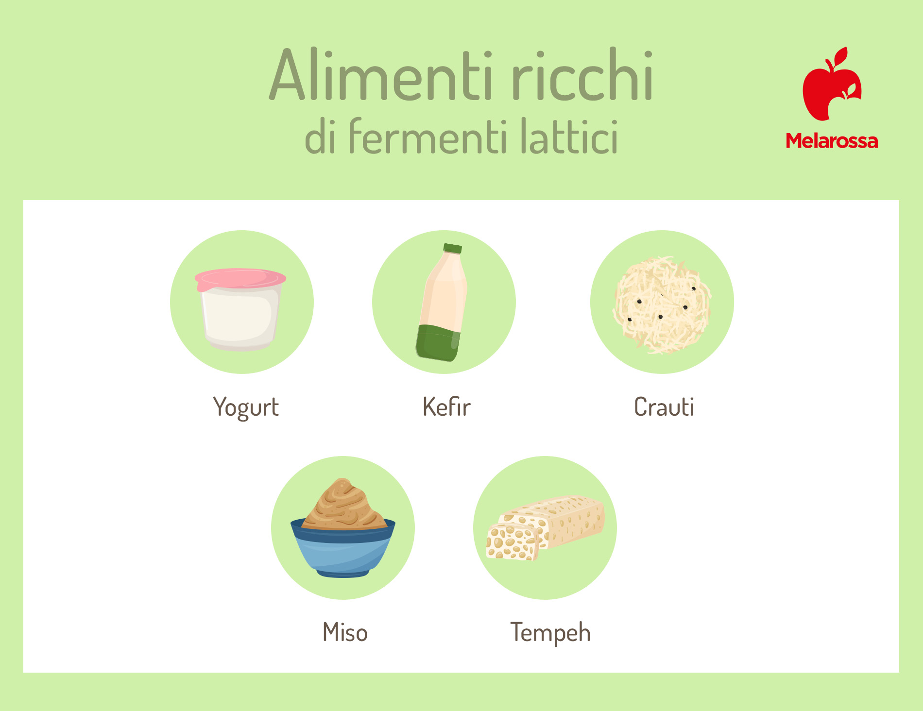 Fermenti lattici: a cosa servono e quando prenderli 1 alimenti ricchi di fermenti lattici