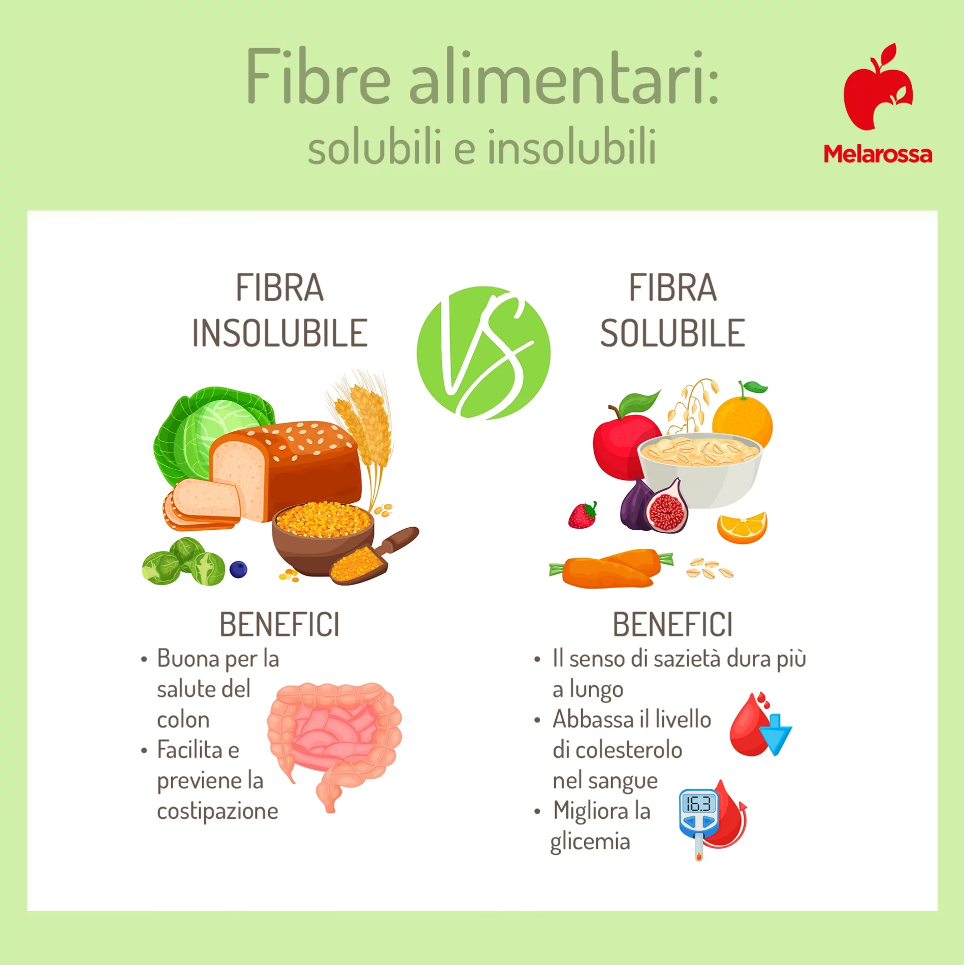 Fibre alimentari: cosa sono, benefici e dove trovarle 1 fibre alimentari solubili e insolubili