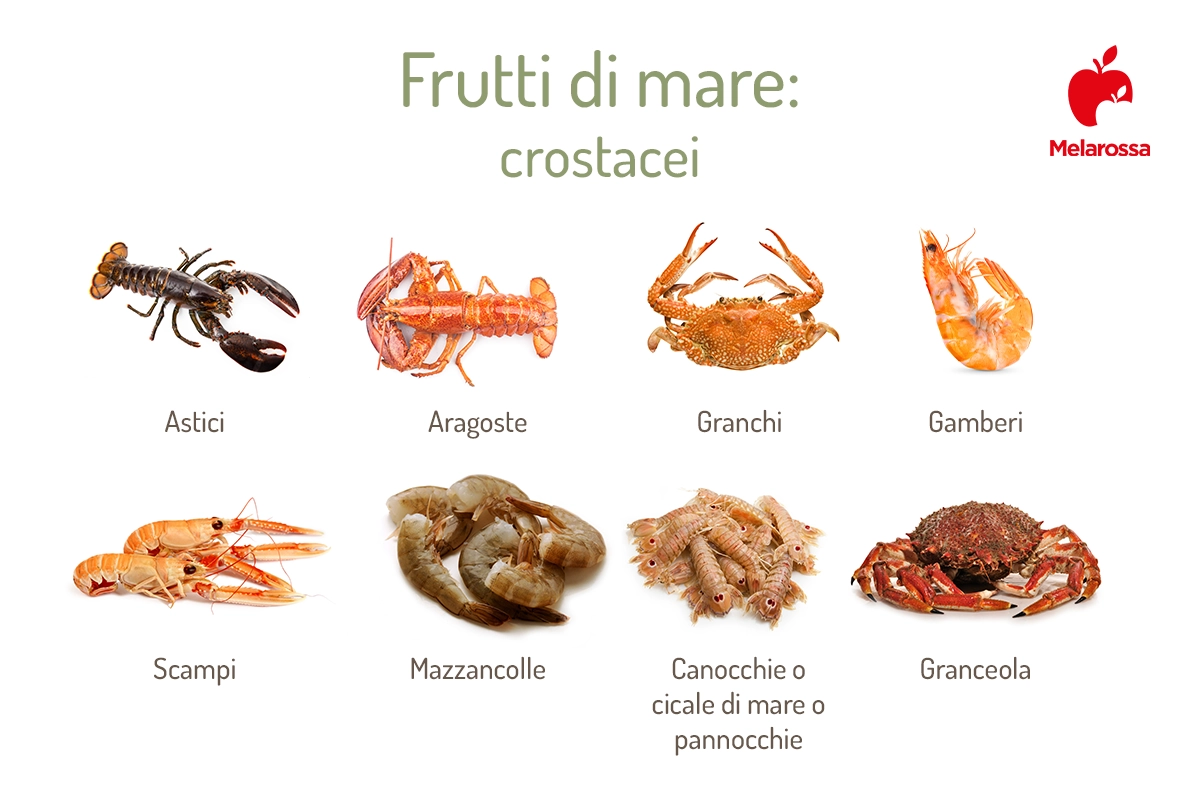 Frutti di mare: quali sono, elenco dei molluschi e dei crostacei 2 frutti di mare: quali sono i crostacei?