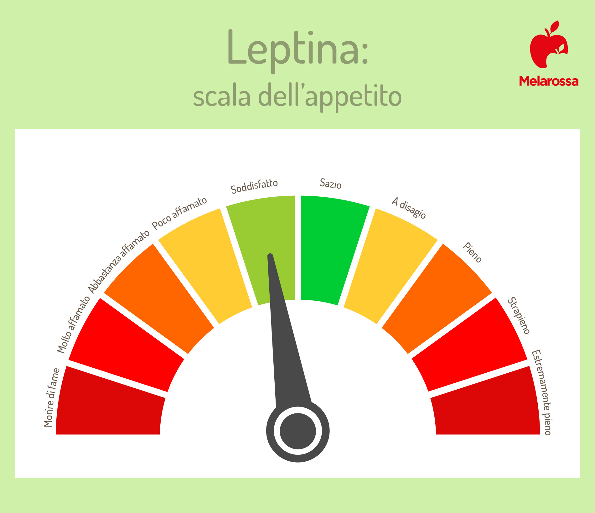 Leptina: che cos'è, legame con fame e obesità, valori normali e come stimolarla 3 leptina e obesità: scala dell'appetito