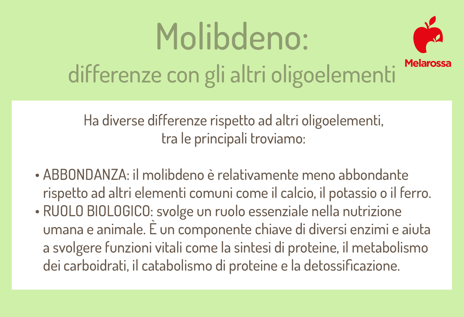 Molibdeno: che cos'è, a cosa serve, proprietà e benefici, alimenti ricchi, eccesso e carenza 1 molibdeno differenze con altri oligoelementi 1