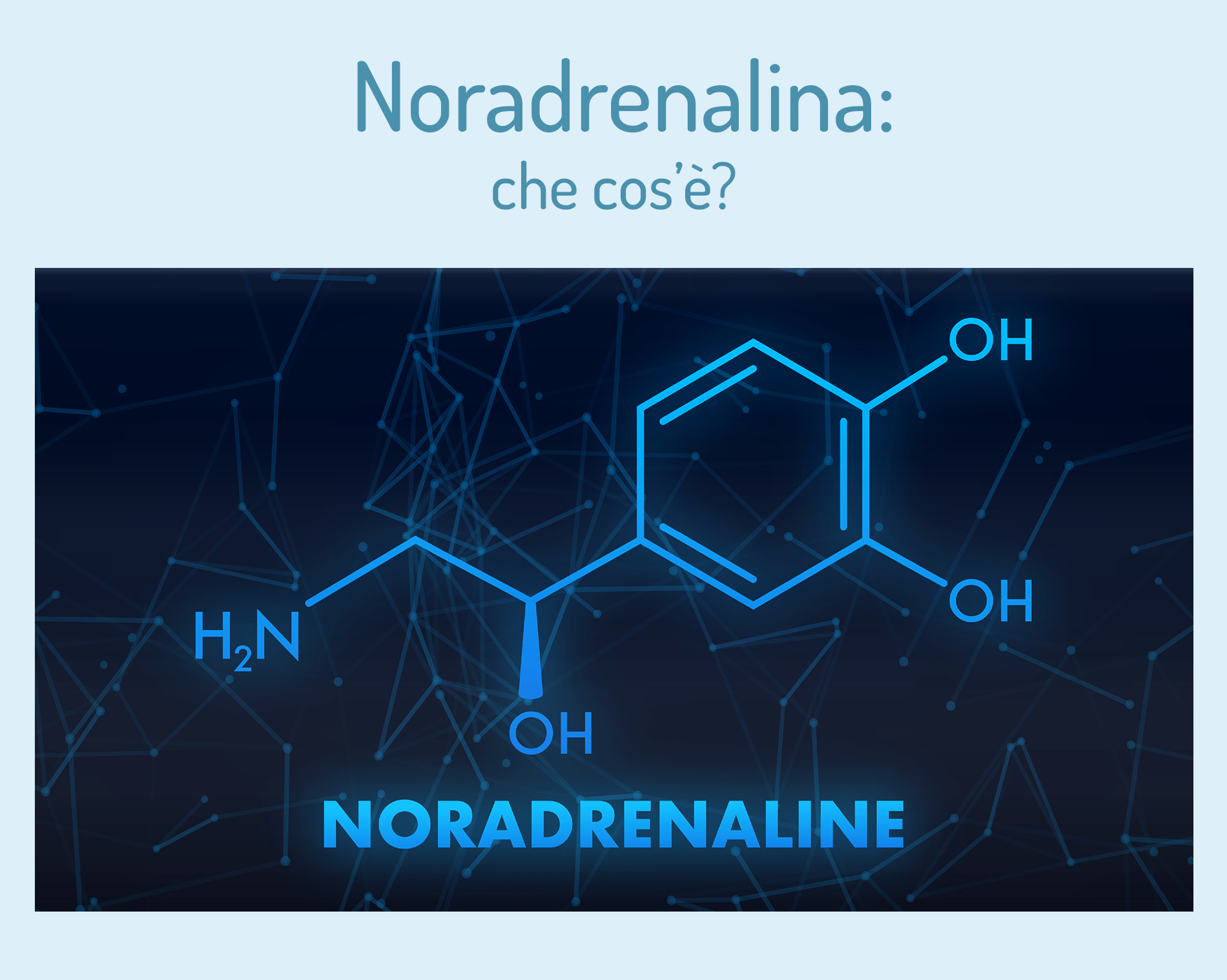 Noradrenalina: che cos'è, a cosa serve, effetti sul metabolismo 1 noradrenalina: che cos'è?
