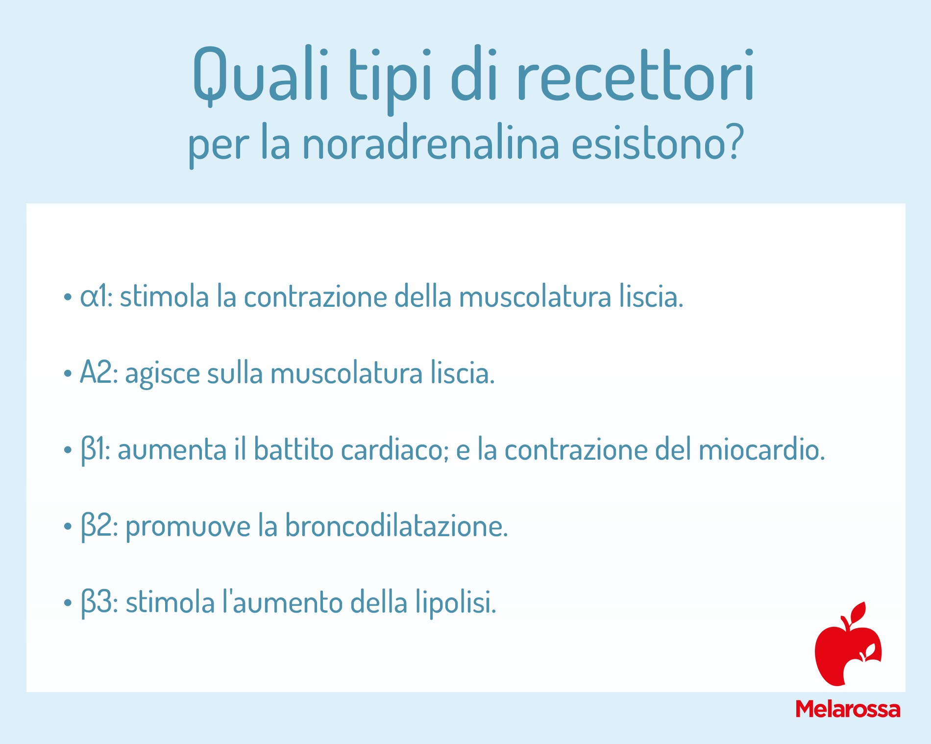Noradrenalina: che cos'è, a cosa serve, effetti sul metabolismo 3 noradrenalina: tipi di recettori