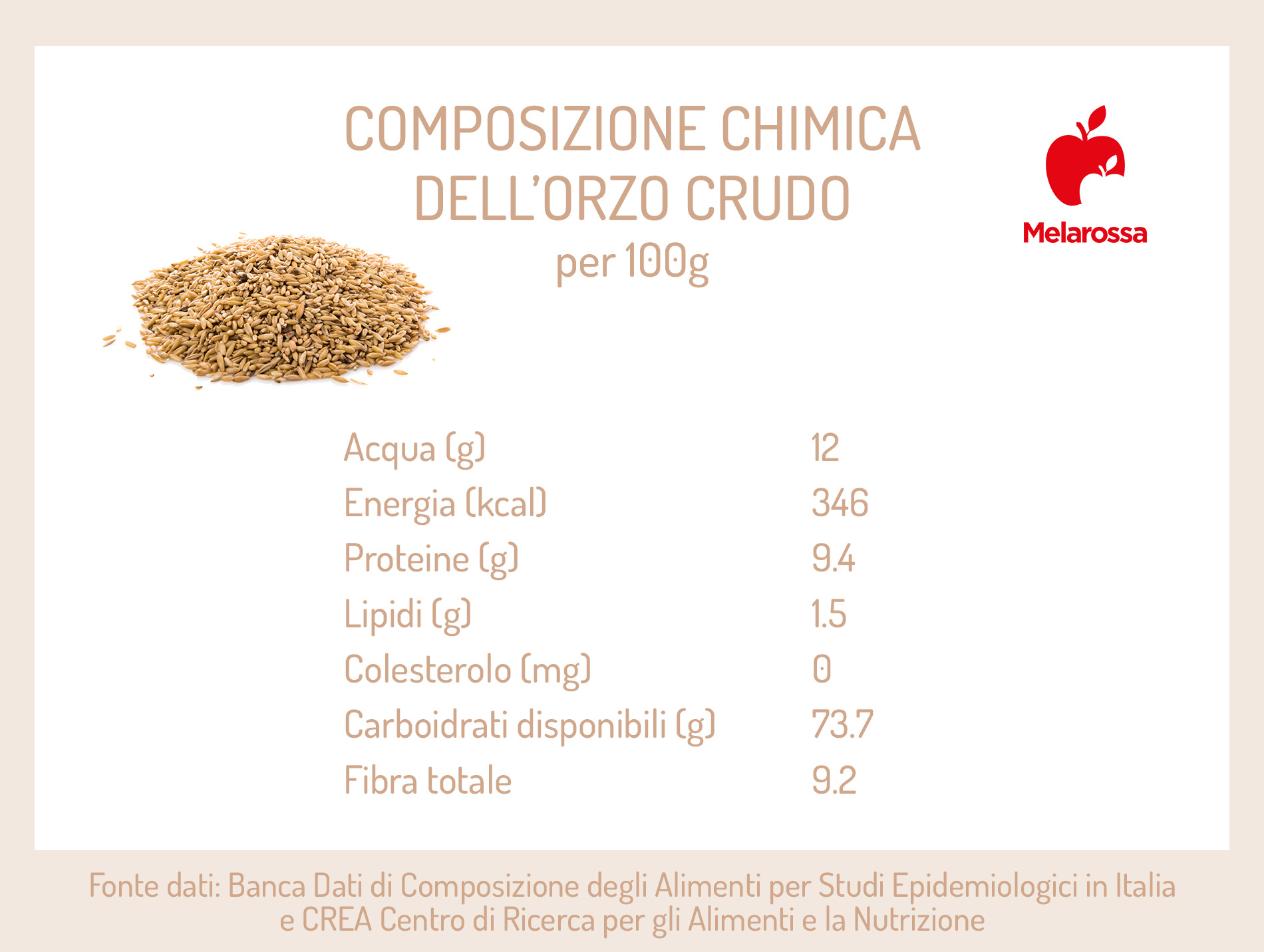 Orzo: cos'è, proprietà, calorie, benefici e le migliori ricette in cucina 1 orzo: calorie