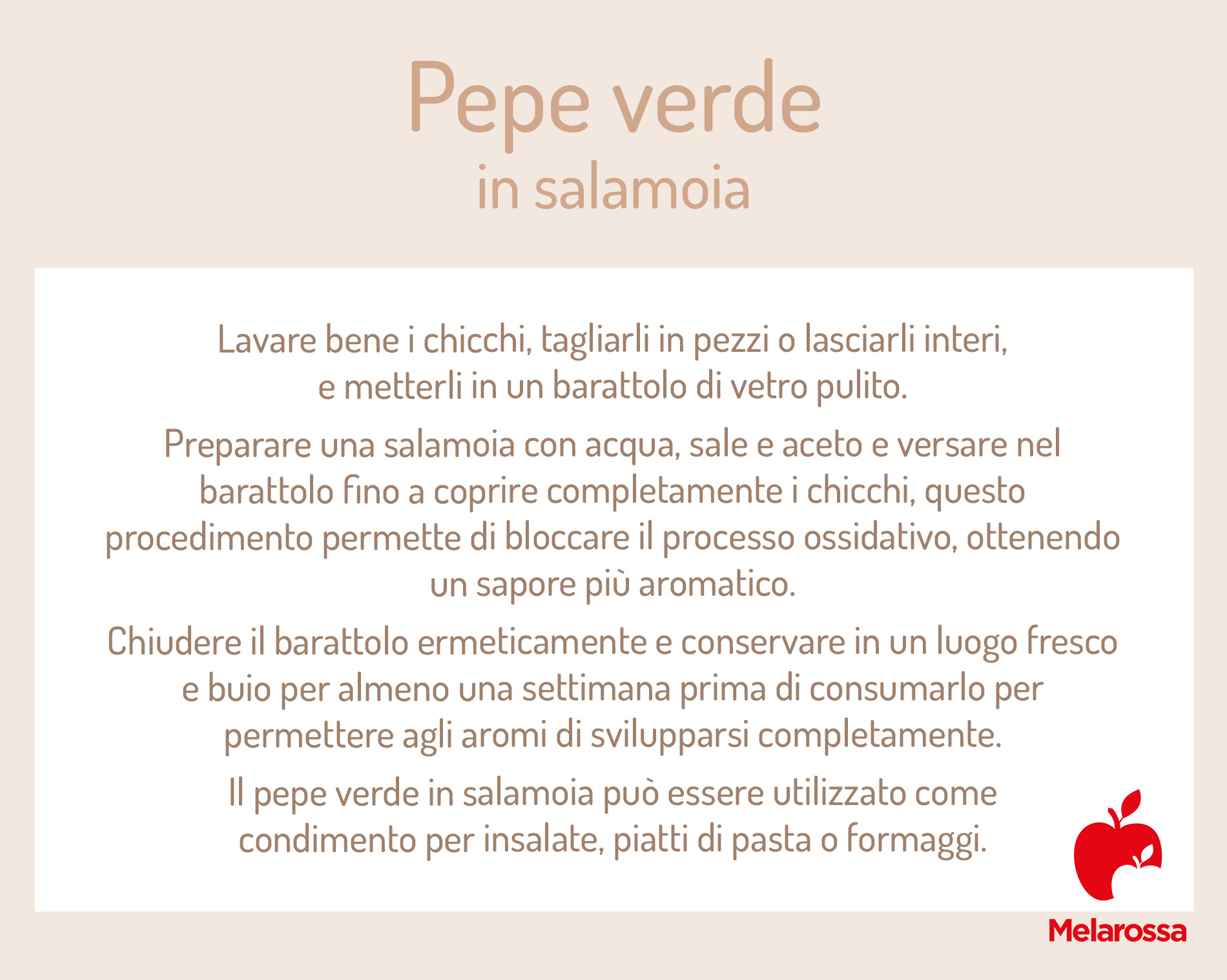 Pepe verde: che cos'è, proprietà, utilizzi e controindicazioni 1 pepe verde in salamoia 1