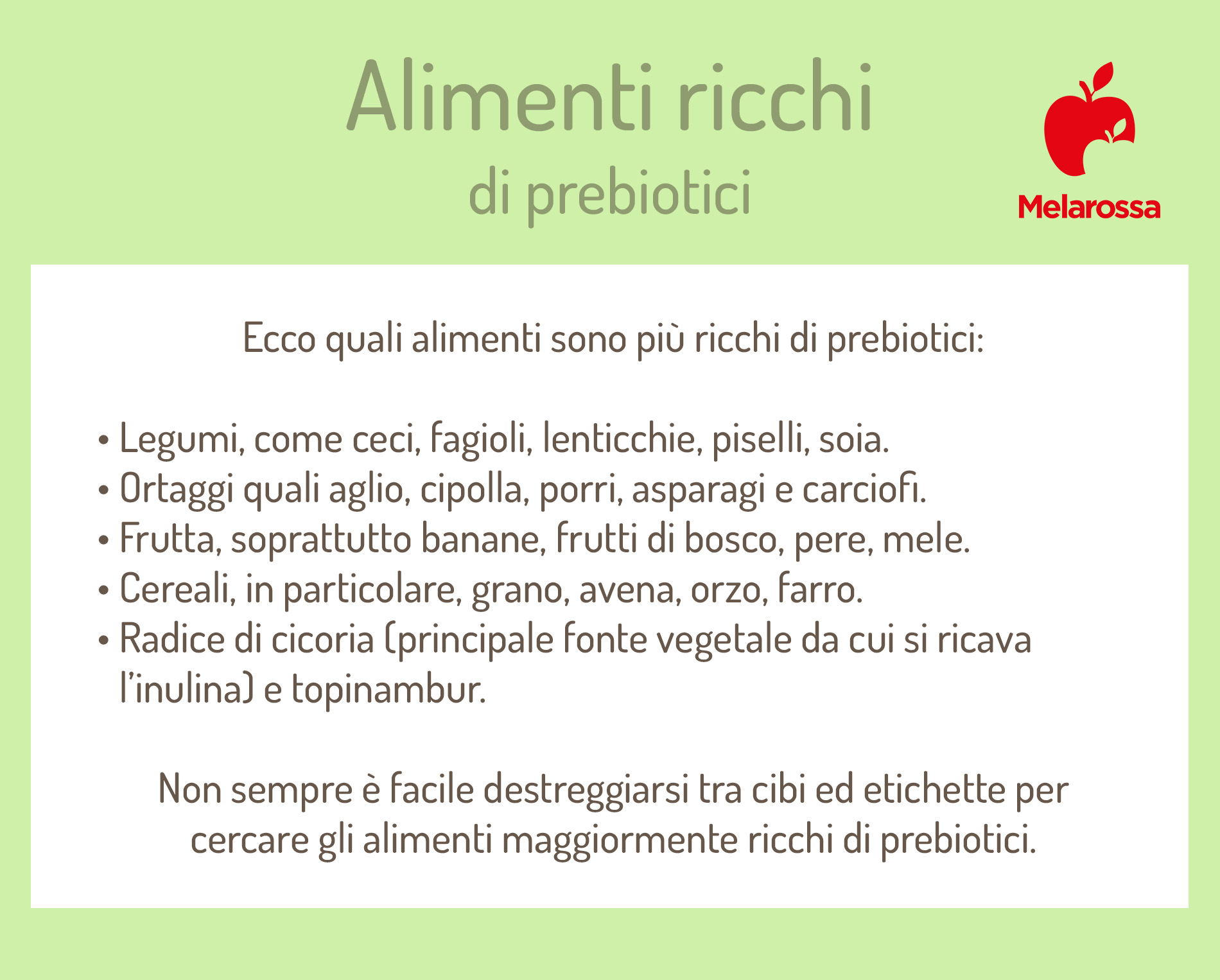 Prebiotici: cosa sono, quali sono, benefici e dove si trovano 3 alimenti ricchi di prebiotici