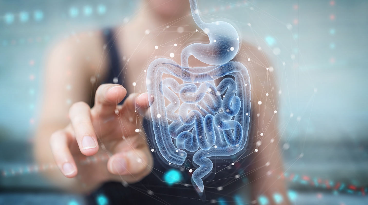 Prebiotici: cosa sono, quali sono, benefici e dove si trovano 2 prebiotici: benefici per la salute