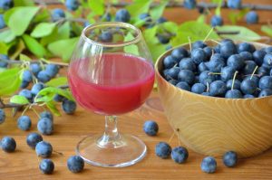 Prugnolo: che cos&rsquo;&egrave;, propriet&agrave; e benefici, usi e ricette per fare il succo e il liquore