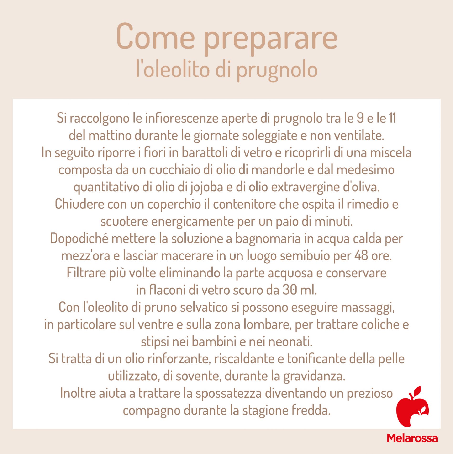 Prugnolo: che cos'è, proprietà e benefici, usi e ricette per fare il succo e il liquore 3 come preparare l'oleolito di prugnolo