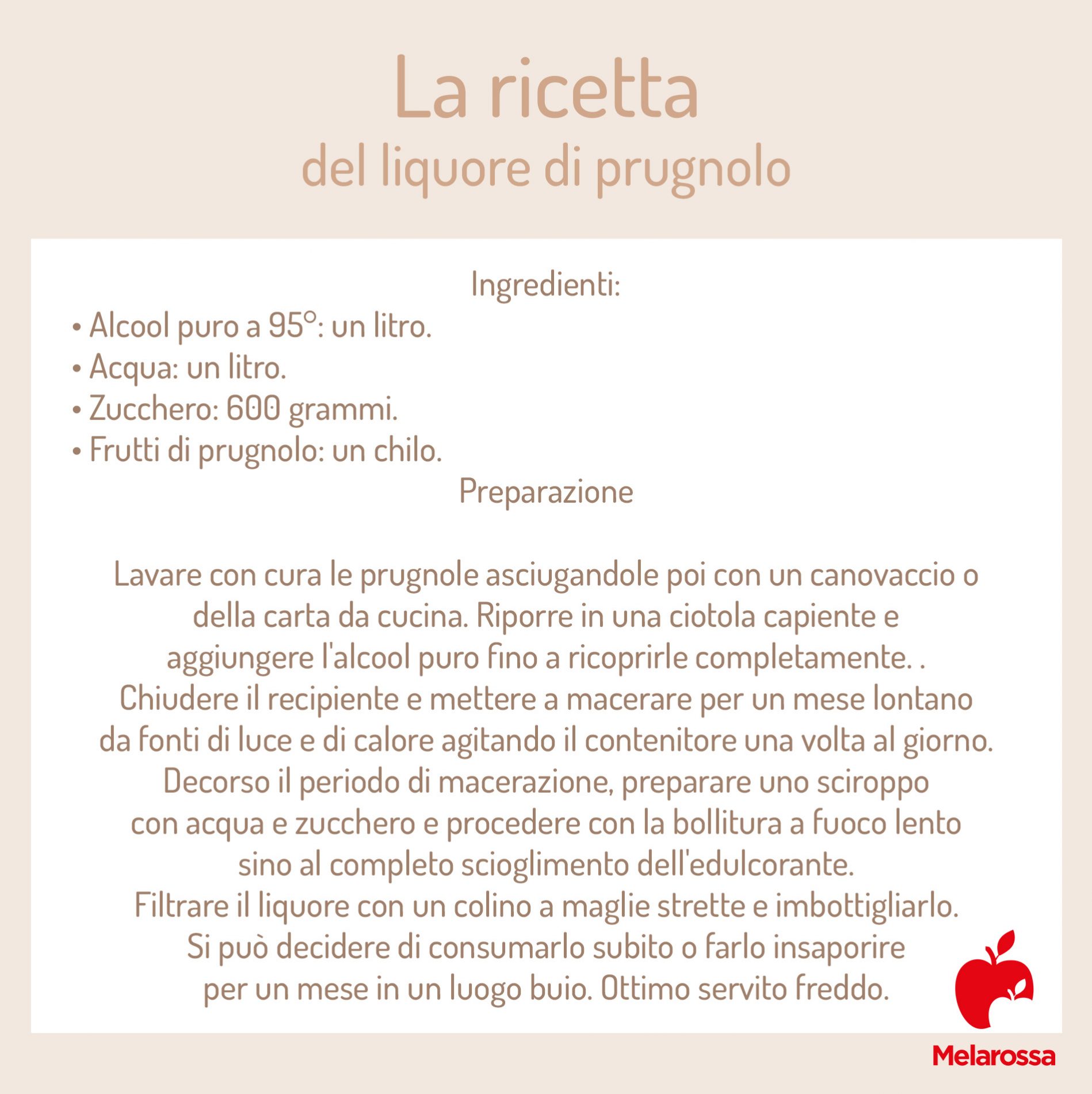 Prugnolo: che cos'è, proprietà e benefici, usi e ricette per fare il succo e il liquore 4 la ricetta del liquore di prugnolo