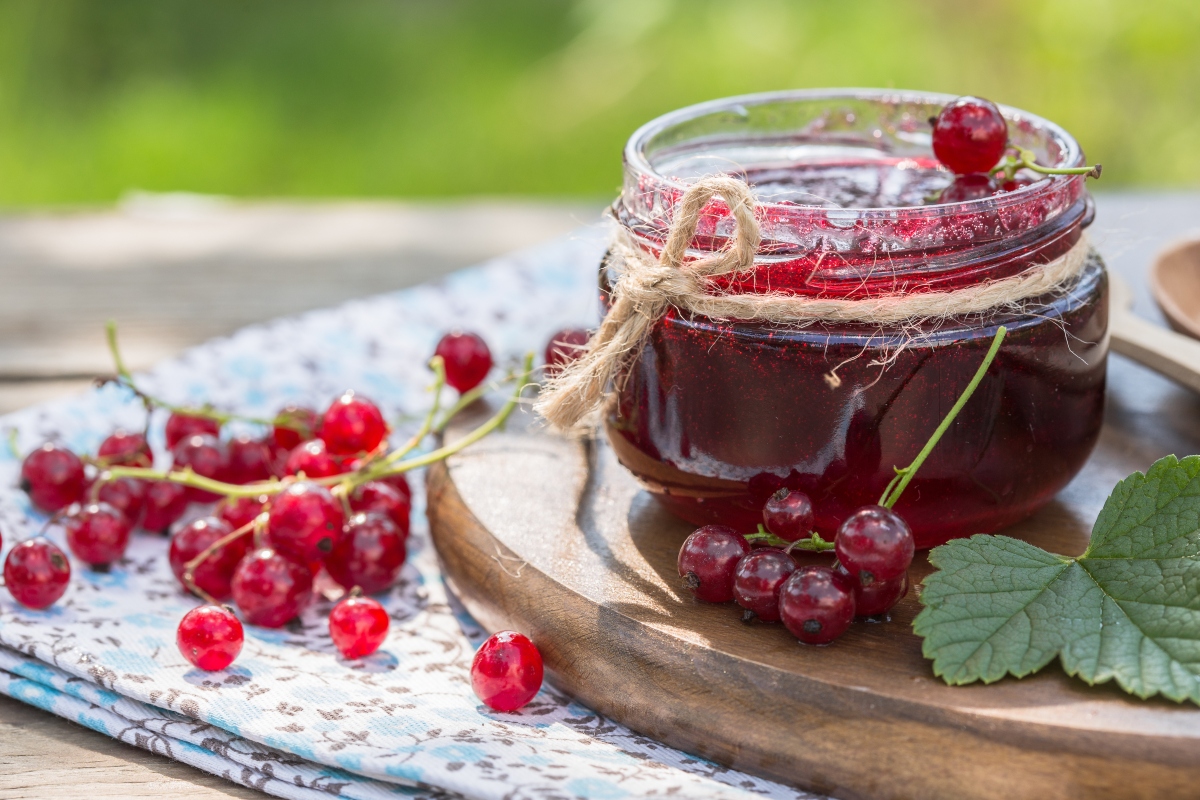Frutti rossi: quali sono, benefici e idee per gustarli 6 ribes: frutti rossi
