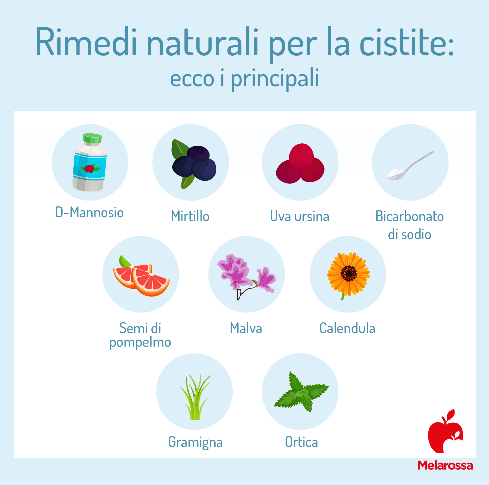 Uva ursina: che cos'è, proprietà, benefici e usi terapeutici 2 rimedi per la cistite: uva ursina