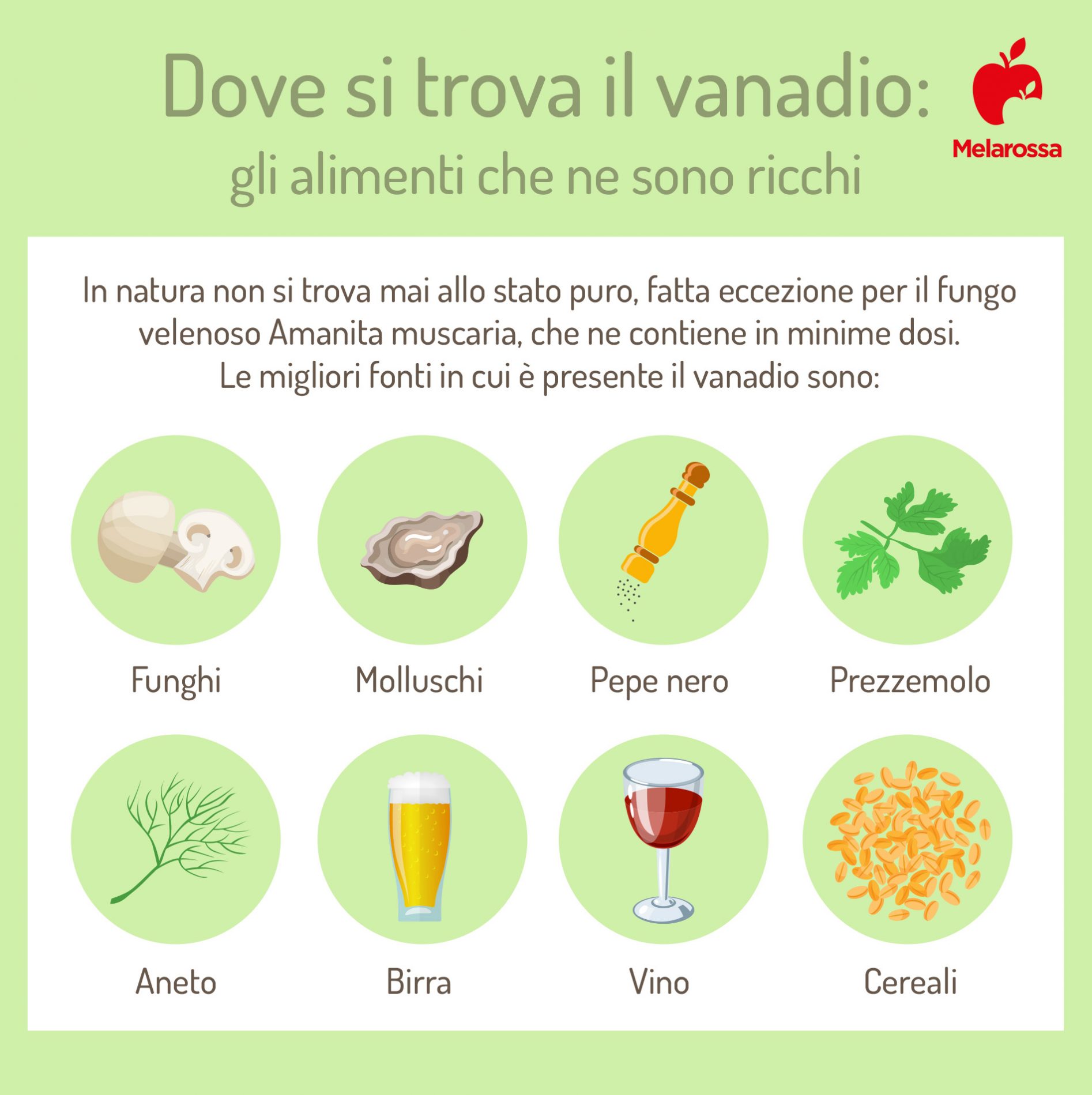 Vanadio: proprietà, fabbisogno, alimenti ricchi e benefici 3 la tabella degli alimenti ricci di vanadio