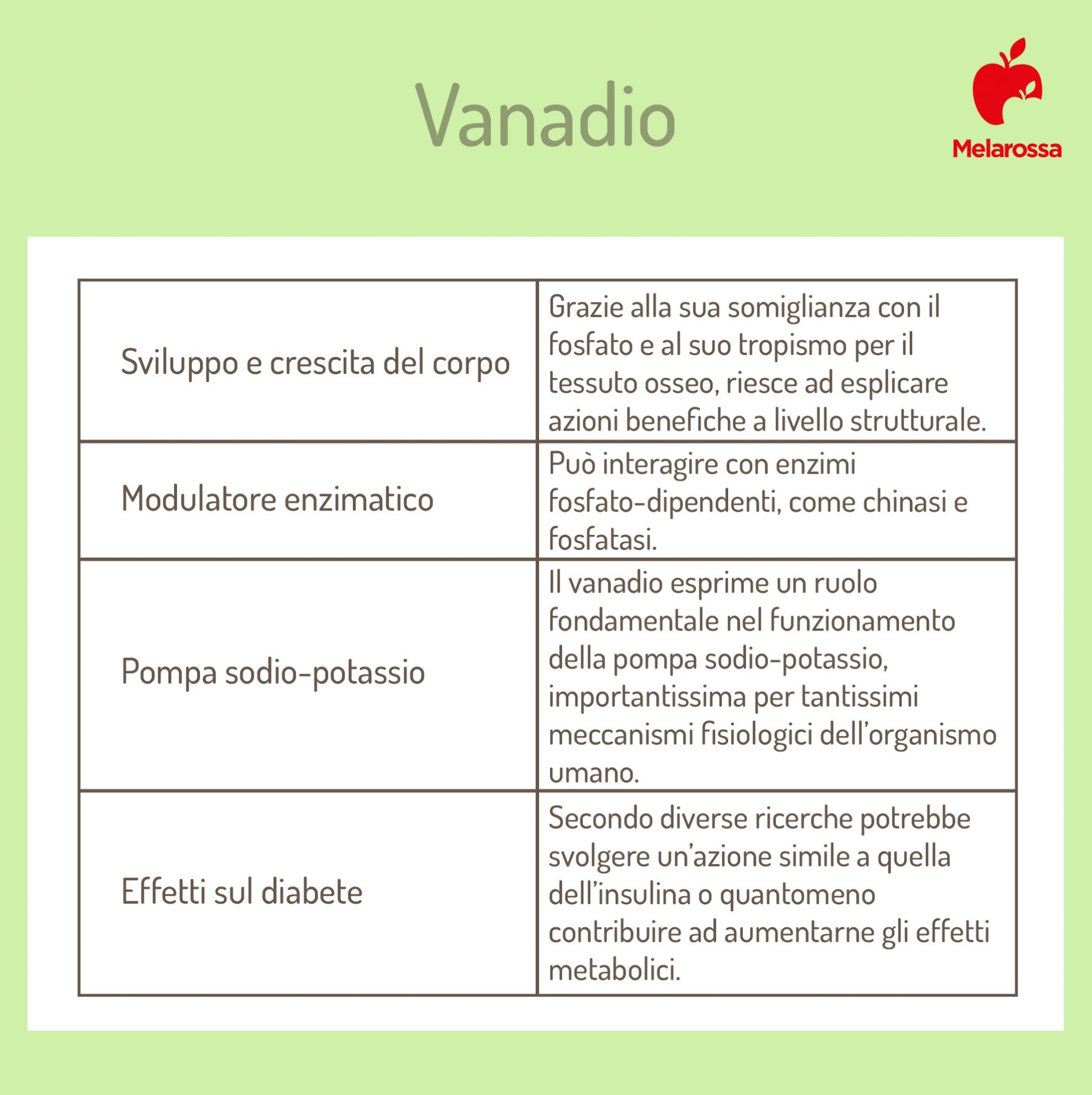 Vanadio: proprietà, fabbisogno, alimenti ricchi e benefici 2 i potenziali benefici del vanadio