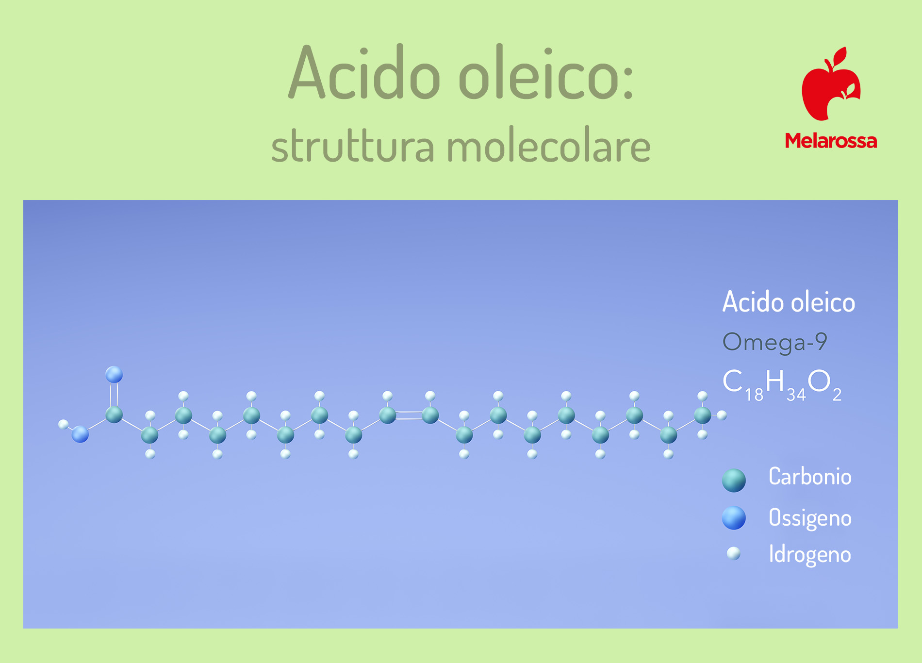 Acido oleico: che cos'è, dove si trova, benefici degli acidi grassi omega-9 1 che cos'è l'acido oleico